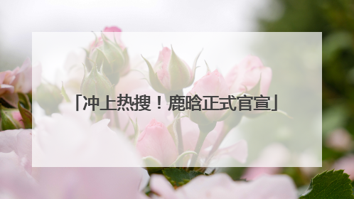 冲上热搜！鹿晗正式官宣