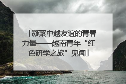 凝聚中越友谊的青春力量——越南青年“红色研学之旅”见闻