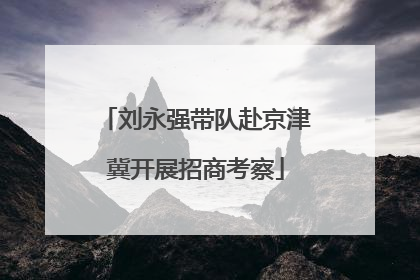 刘永强带队赴京津冀开展招商考察
