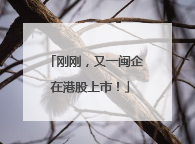 刚刚，又一闽企在港股上市！