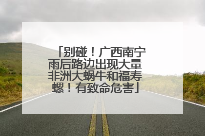 别碰！广西南宁雨后路边出现大量非洲大蜗牛和福寿螺！有致命危害