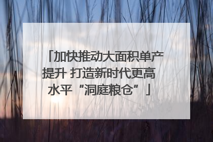 加快推动大面积单产提升 打造新时代更高水平“洞庭粮仓”