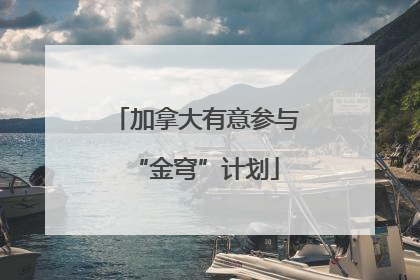 加拿大有意参与“金穹”计划