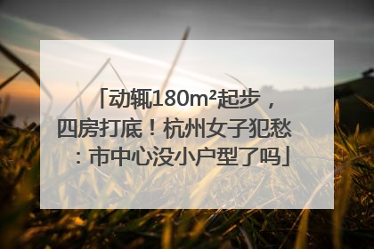 动辄180m²起步，四房打底！杭州女子犯愁：市中心没小户型了吗