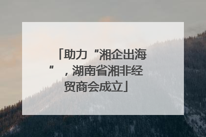 助力“湘企出海”，湖南省湘非经贸商会成立