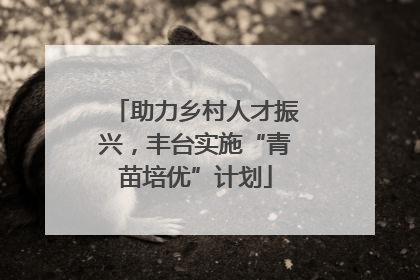 助力乡村人才振兴，丰台实施“青苗培优”计划