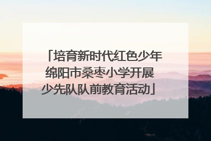培育新时代红色少年 绵阳市桑枣小学开展少先队队前教育活动