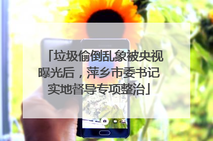 垃圾偷倒乱象被央视曝光后，萍乡市委书记实地督导专项整治