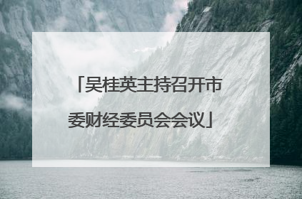 吴桂英主持召开市委财经委员会会议