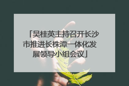 吴桂英主持召开长沙市推进长株潭一体化发展领导小组会议