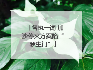 各执一词 加沙停火方案陷“罗生门”