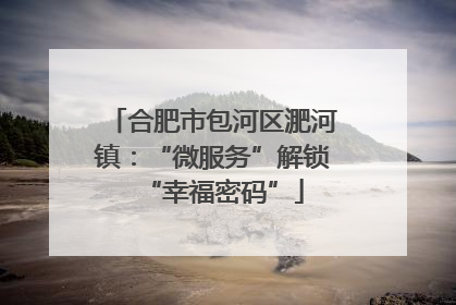 合肥市包河区淝河镇：“微服务”解锁“幸福密码”