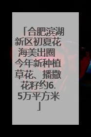 合肥滨湖新区初夏花海美出圈 今年新种植草花、播撒花籽约6.5万平方米