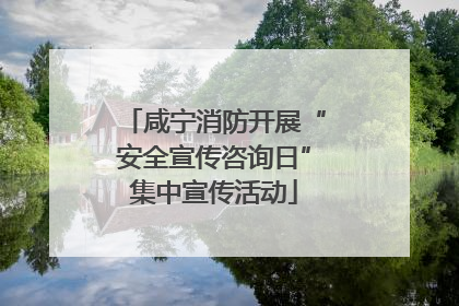 咸宁消防开展“安全宣传咨询日”集中宣传活动