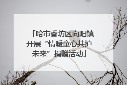 哈市香坊区向阳镇开展“情暖童心共护未来”捐赠活动