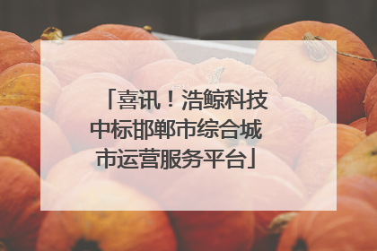 喜讯！浩鲸科技中标邯郸市综合城市运营服务平台