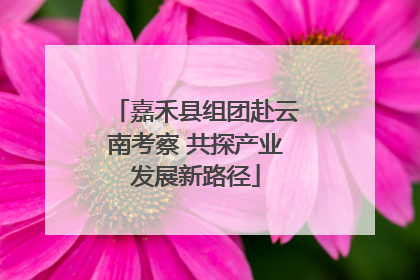 嘉禾县组团赴云南考察 共探产业发展新路径