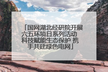 国网湖北经研院开展六五环境日系列活动 科技赋能生态保护 携手共建绿色电网