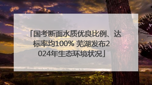 国考断面水质优良比例、达标率均100% 芜湖发布2024年生态环境状况