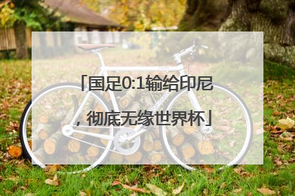 国足0:1输给印尼，彻底无缘世界杯