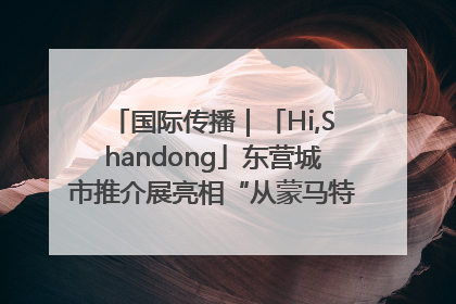 国际传播｜「Hi,Shandong」东营城市推介展亮相“从蒙马特到加里波第”文化节