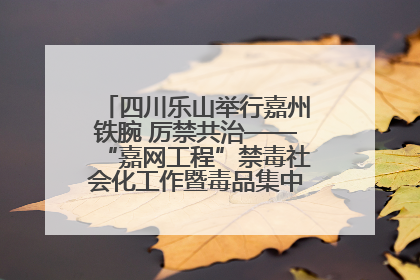 四川乐山举行嘉州铁腕 厉禁共治——“嘉网工程”禁毒社会化工作暨毒品集中销毁启动仪式