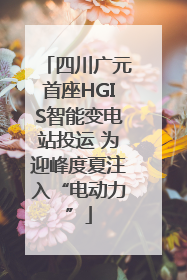 四川广元首座HGIS智能变电站投运 为迎峰度夏注入“电动力”