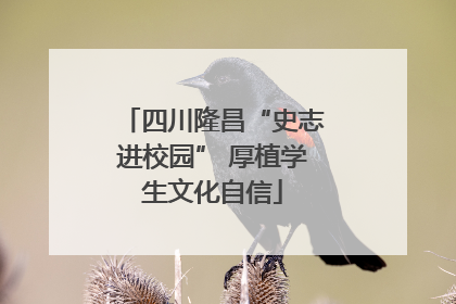 四川隆昌“史志进校园” 厚植学生文化自信