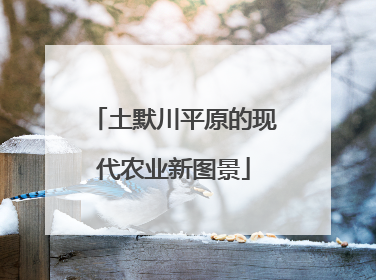 土默川平原的现代农业新图景