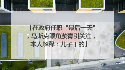 在政府任职“最后一天”，马斯克眼角淤青引关注，本人解释：儿子干的