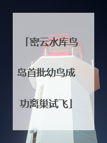 密云水库鸟岛首批幼鸟成功离巢试飞
