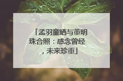 孟羽童晒与董明珠合照：感念曾经，未来珍重