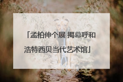 孟柏伸个展 揭幕呼和浩特西贝当代艺术馆