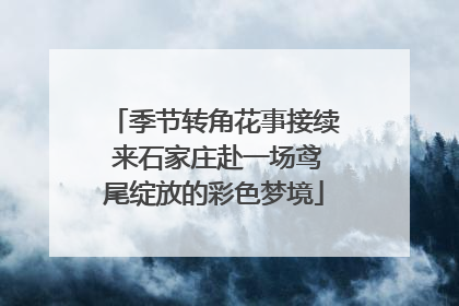 季节转角花事接续 来石家庄赴一场鸢尾绽放的彩色梦境