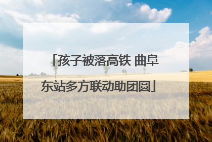 孩子被落高铁 曲阜东站多方联动助团圆