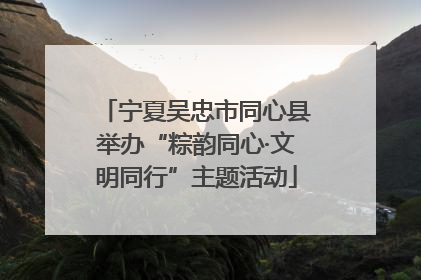 宁夏吴忠市同心县举办“粽韵同心·文明同行”主题活动