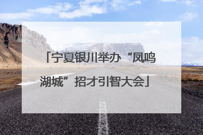 宁夏银川举办“凤鸣湖城”招才引智大会