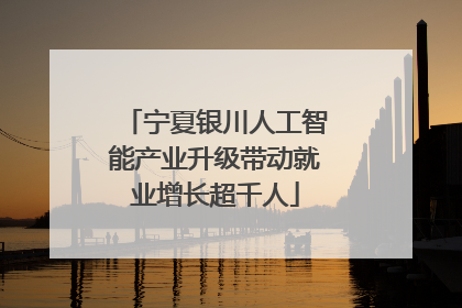 宁夏银川人工智能产业升级带动就业增长超千人
