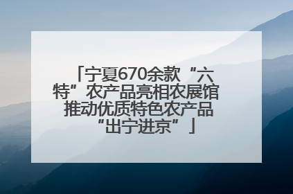 宁夏670余款“六特”农产品亮相农展馆 推动优质特色农产品“出宁进京”