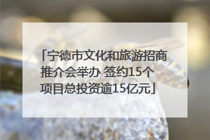 宁德市文化和旅游招商推介会举办 签约15个项目总投资逾15亿元