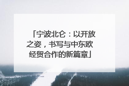 宁波北仑：以开放之姿，书写与中东欧经贸合作的新篇章