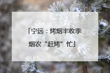 宁远：烤烟丰收季 烟农“赶烤”忙