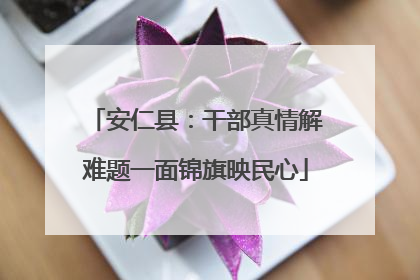 安仁县：干部真情解难题一面锦旗映民心