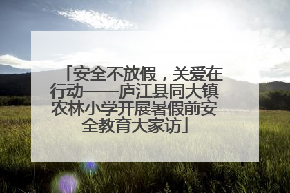 安全不放假，关爱在行动——庐江县同大镇农林小学开展暑假前安全教育大家访