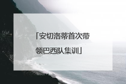安切洛蒂首次带领巴西队集训