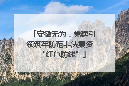 安徽无为：党建引领筑牢防范非法集资“红色防线”