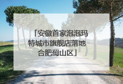 安徽首家泡泡玛特城市旗舰店落地合肥蜀山区