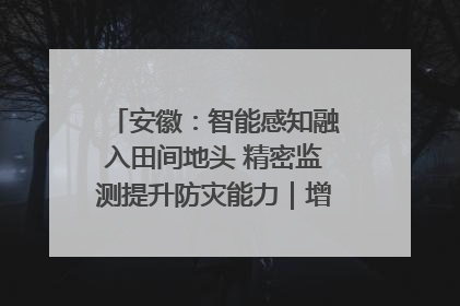 安徽：智能感知融入田间地头 精密监测提升防灾能力｜增发国债气象项目落地见效系列报道