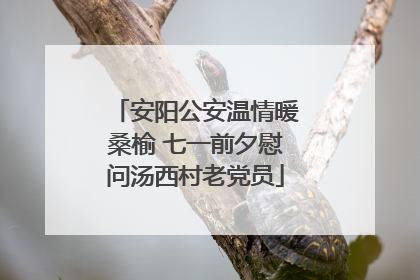 安阳公安温情暖桑榆 七一前夕慰问汤西村老党员