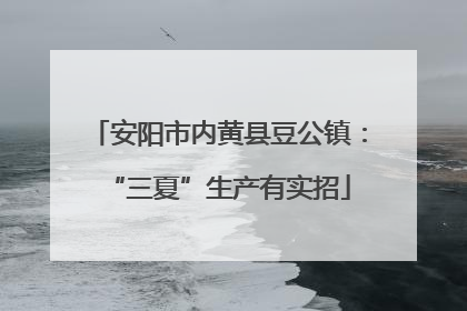 安阳市内黄县豆公镇：“三夏”生产有实招
